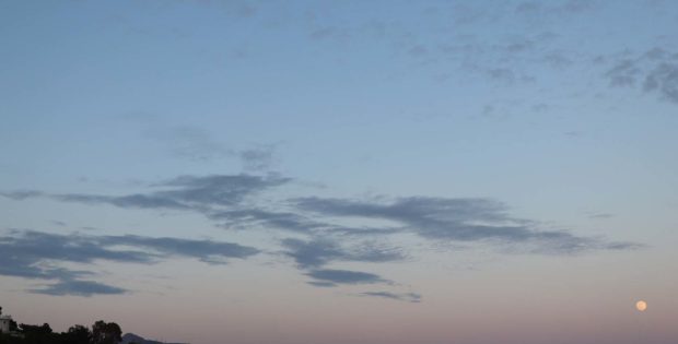 Point Editions – International Poetry