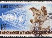 STAMP LAIKA