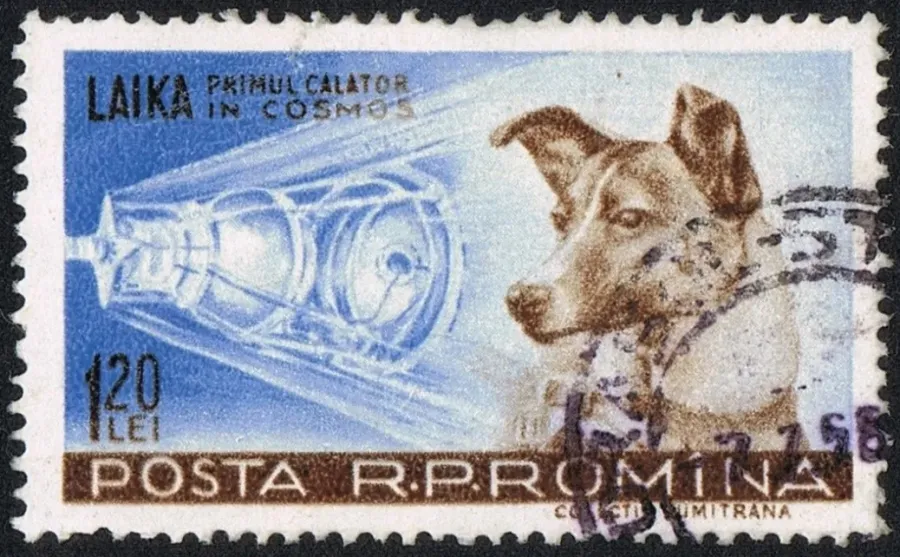 STAMP LAIKA
