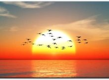 RISING SUN