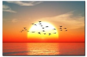 RISING SUN