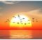RISING SUN