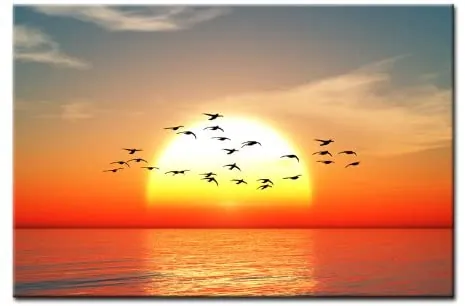 RISING SUN