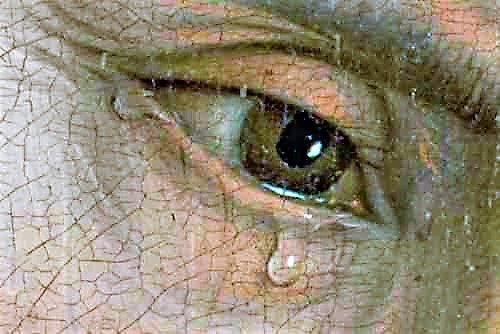 painting detail van der weijden